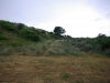 Uitzicht-duinen