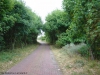 Fahren
