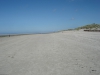 Het strand                             